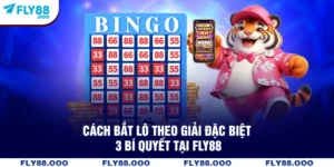Cách Bắt Lô Theo Giải Đặc Biệt - 3 Bí Quyết Tại FLY88