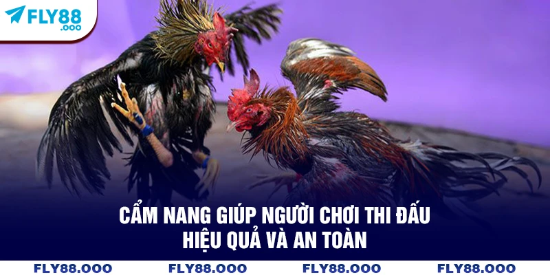 Cẩm nang giúp người chơi thi đấu hiệu quả và an toàn Cẩm nang giúp người chơi thi đấu hiệu quả và an toàn