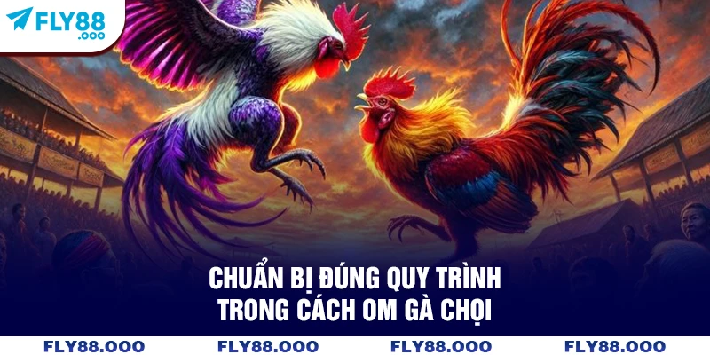 Chuẩn bị đúng quy trình trong cách om gà chọi