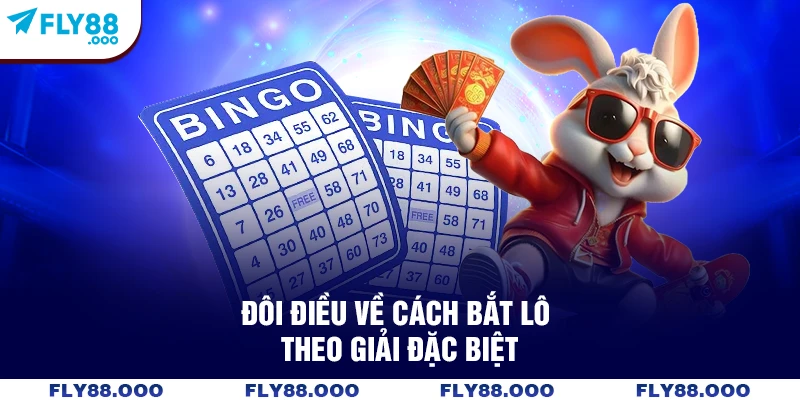 Đôi điều về cách bắt lô theo giải đặc biệt Đôi điều về cách bắt lô theo giải đặc biệt