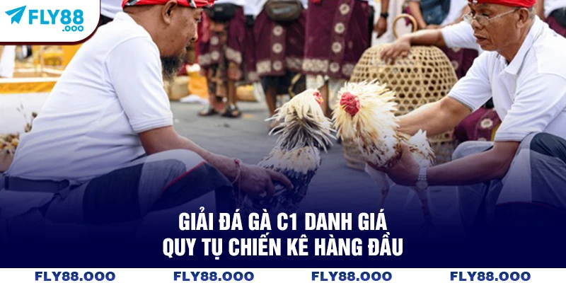 Giải đá gà C1 danh giá quy tụ chiến kê hàng đầu