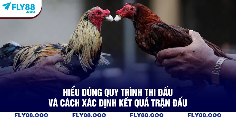 Hiểu đúng quy trình thi đấu và cách xác định kết quả trận đấu Hiểu đúng quy trình thi đấu và cách xác định kết quả trận đấu
