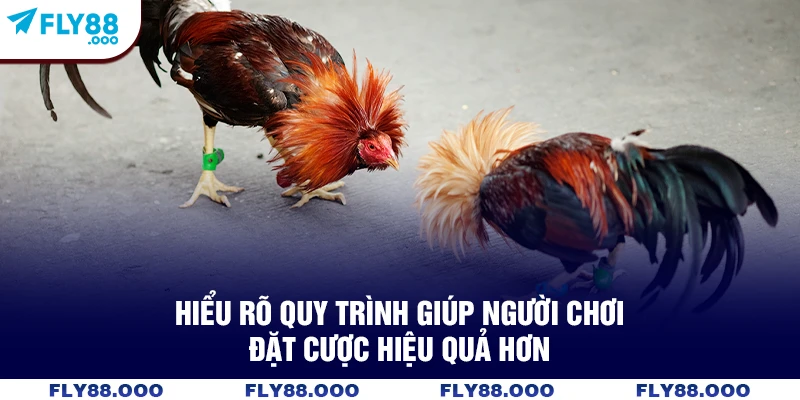 Hiểu rõ quy trình giúp người chơi đặt cược hiệu quả hơn Hiểu rõ quy trình giúp người chơi đặt cược hiệu quả hơn