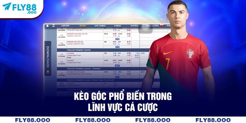 Kèo góc phổ biến trong lĩnh vực cá cược