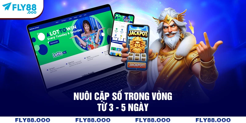 Nuôi cặp số trong vòng từ 3 - 5 ngày